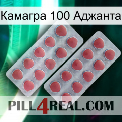 Камагра 100 Аджанта 19